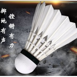 羽毛球耐打白色鹅毛球学生家庭娱乐12只装训练球
